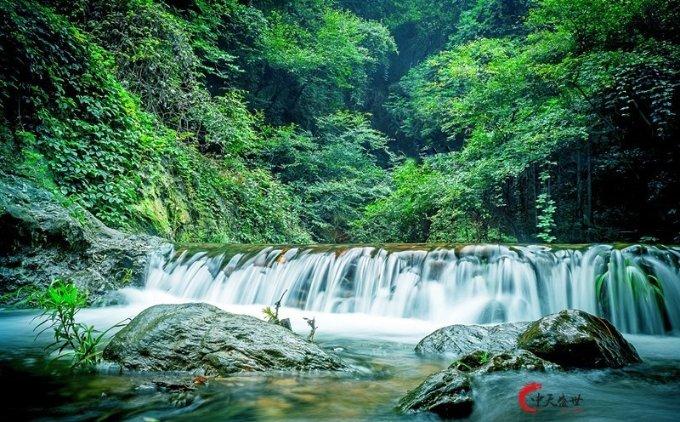 知识星球平台核酸检测管里的红色液体是什么?为啥是红色的?,专享学习交流社区